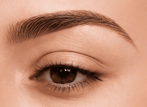 Cejas Santander